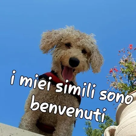 La Fornace 3*